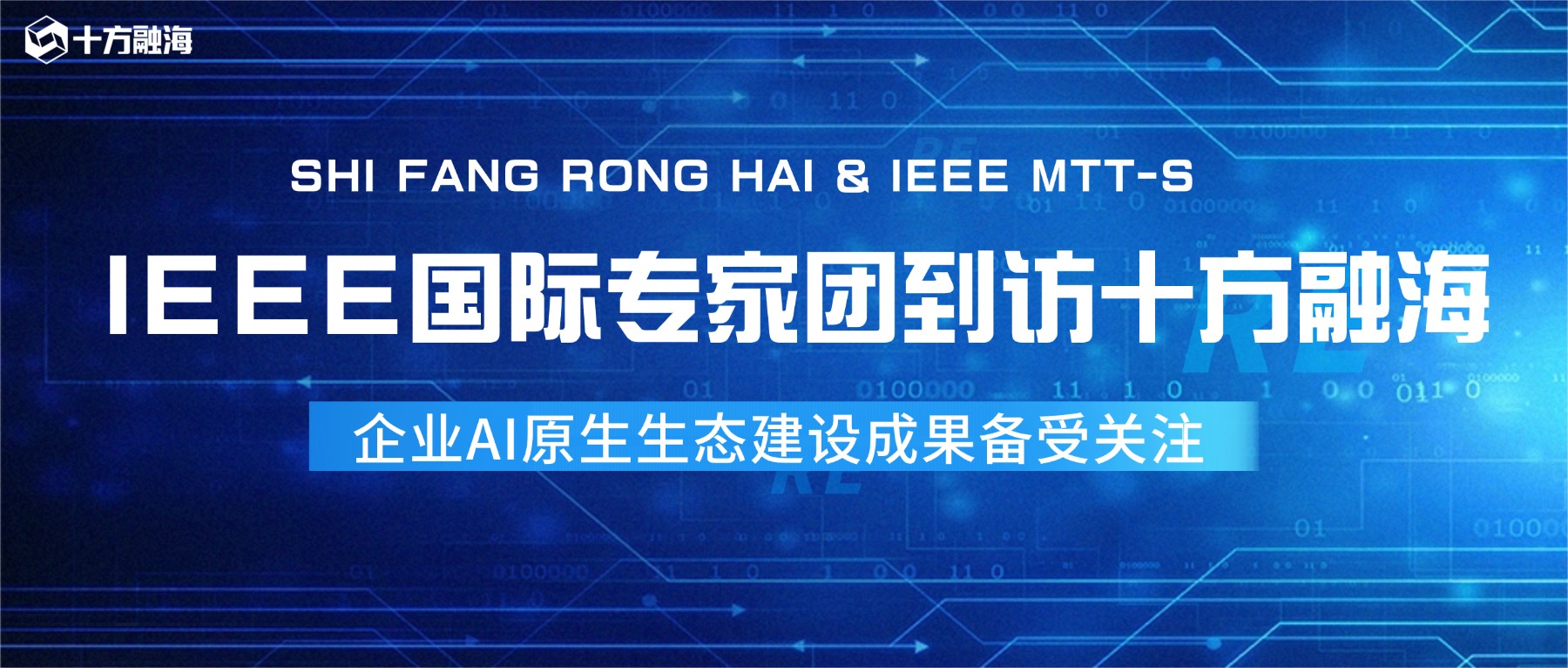 重磅！IEEE国际专家团到访十方融海，AI原生生态建设成果备受关注新闻配图